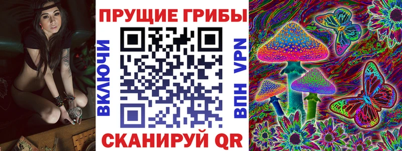 Купить  Златоуст  Псилоцибиновые грибы Psilocybe 