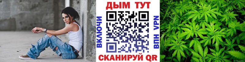 Конопля гибрид  Купить закладки  Златоуст 