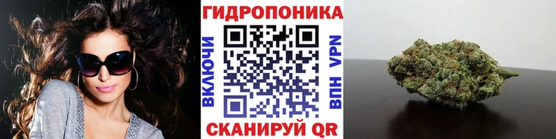 Конопля индика Златоуст